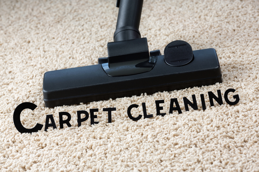 carpet cleaning service